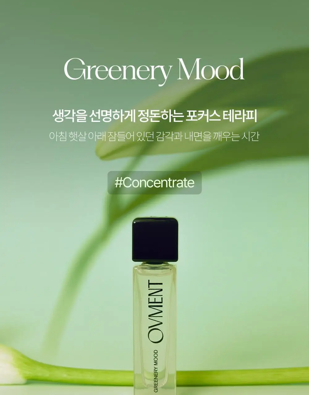 [NEW] 오브먼트 오일퍼퓸 10ml 4종 중 1 상세페이지 18